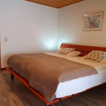 Pensjonat Robin Hood Willingen (Upland)