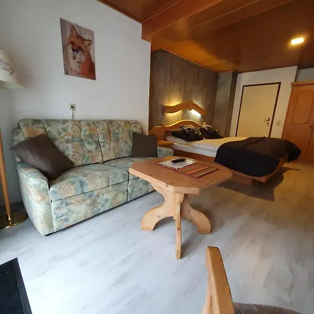 Pensjonat Robin Hood 3*