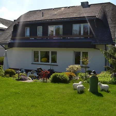 Guest house Robin Hood 3*