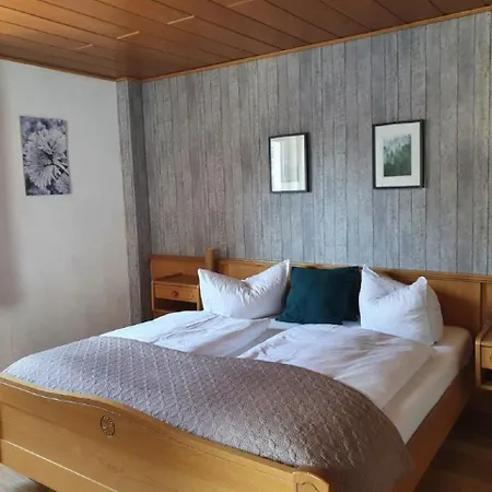 Pensjonat Robin Hood