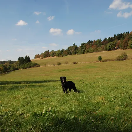 Pensjonat Robin Hood Willingen (Upland)