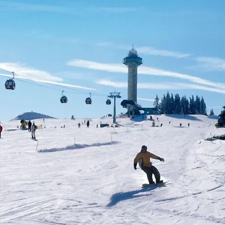 Robin Hood Willingen (Upland)