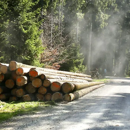 Pensjonat Robin Hood