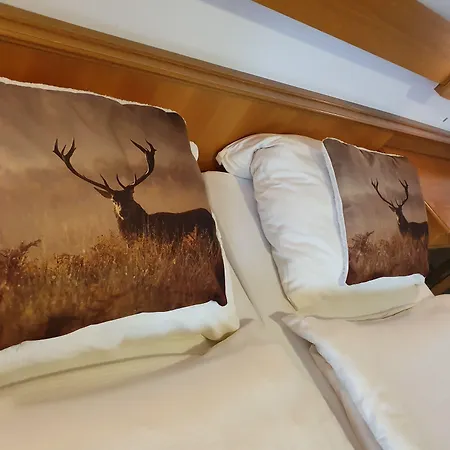 Robin Hood Pensjonat Willingen (Upland)