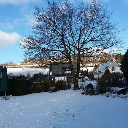 Robin Hood Guest house 3*