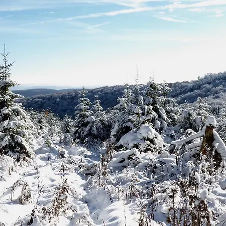 Robin Hood Gasthuis Willingen (Upland)