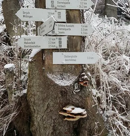 Pensjonat Robin Hood Willingen (Upland)