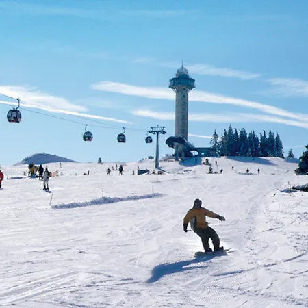Affittacamere Robin Hood Willingen (Upland)