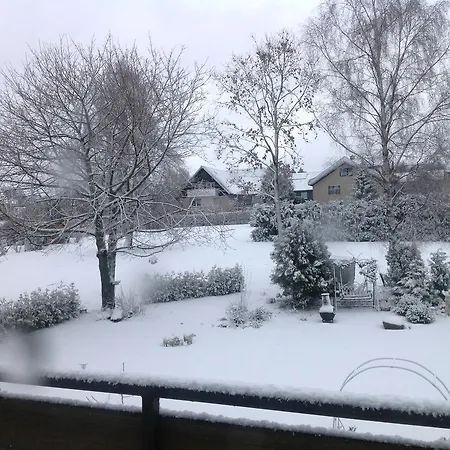 Robin Hood Guest house 3*