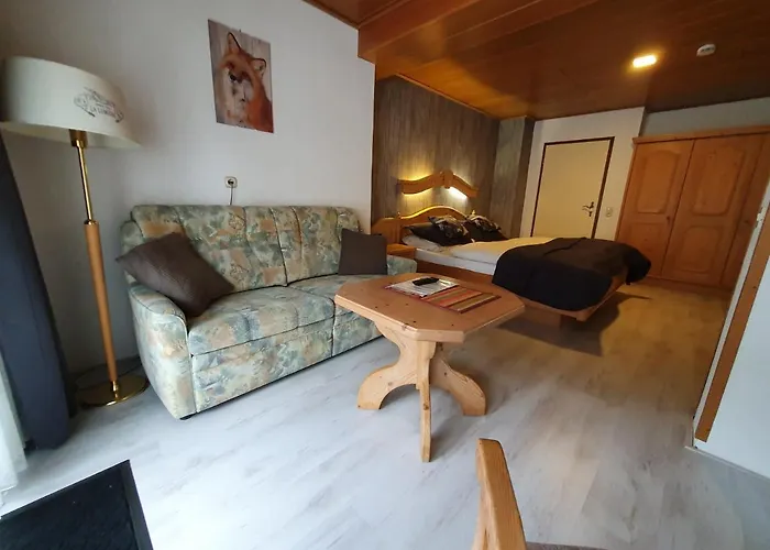 Guest house Robin Hood 3*