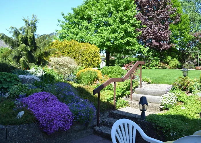 Guest house Robin Hood 3*