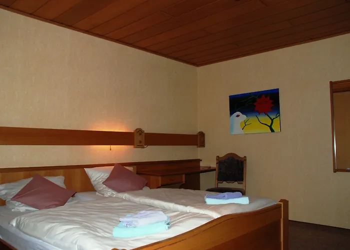 Robin Hood Guest house 3*