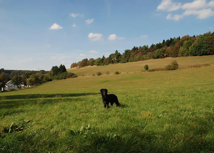 Guest house Robin Hood Willingen (Upland)