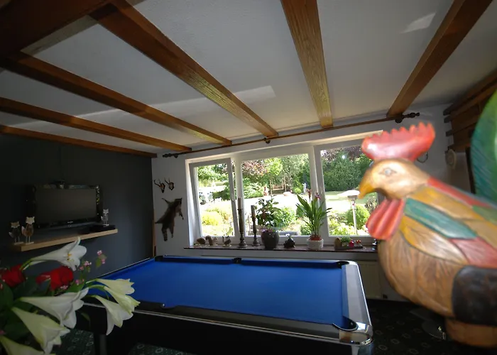 Robin Hood Guest house Willingen (Upland)