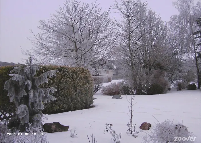 Robin Hood 게스트하우스