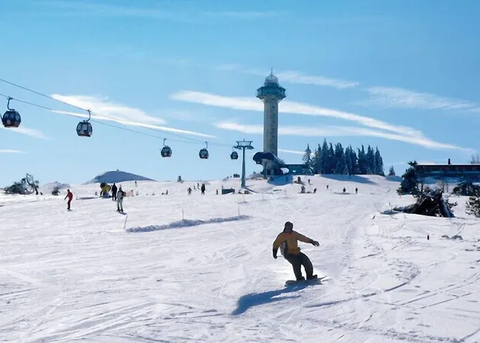 Robin Hood 빌링겐