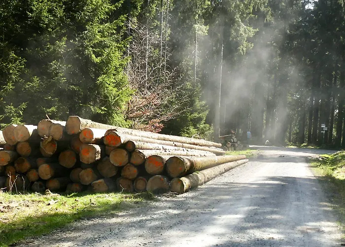 Guest house Robin Hood