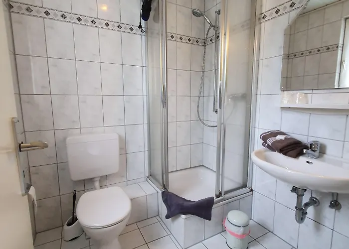 Guest house Robin Hood 3*