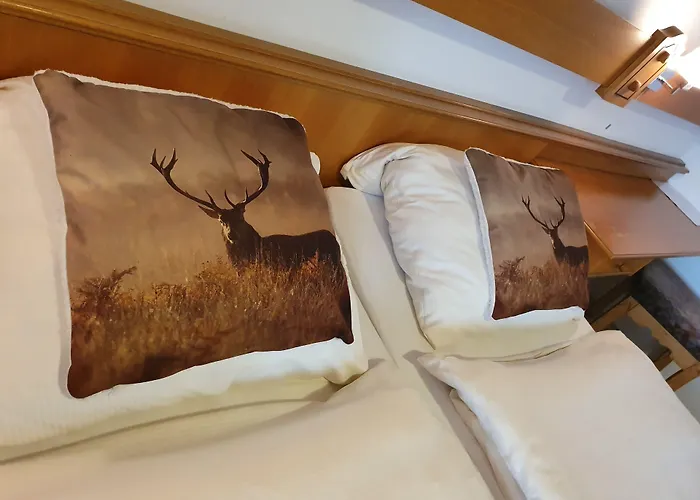 Robin Hood Guest house Willingen (Upland)