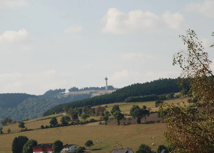 Guest house Robin Hood Willingen (Upland)