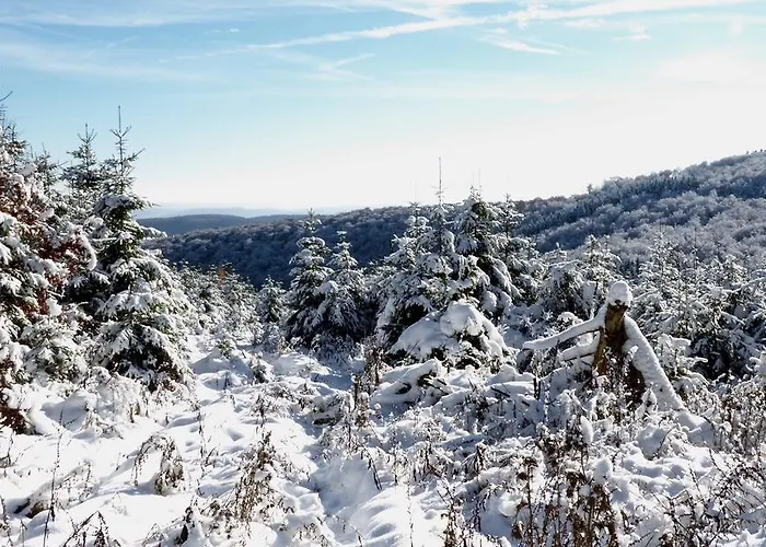Robin Hood 게스트하우스 빌링겐