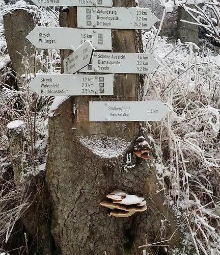 게스트하우스 Robin Hood 빌링겐