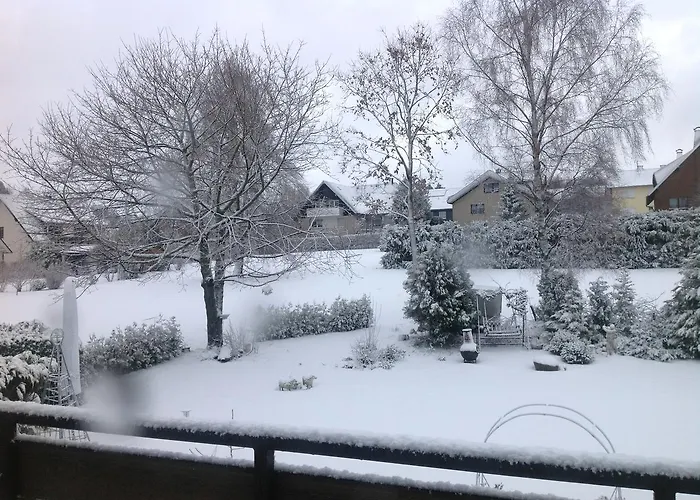 Robin Hood 게스트하우스 3*