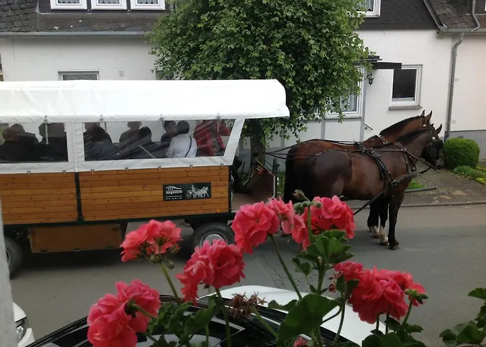 Robin Hood Guest house